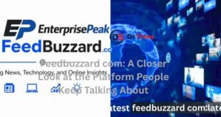 feedbuzzard com