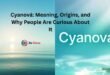cyanová